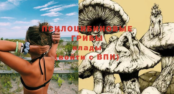 Альфа ПВП Алексин