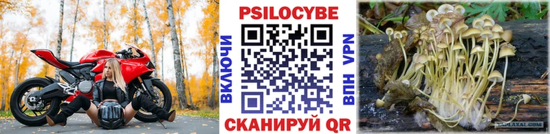 Галлюциногенные грибы Magic Shrooms мега ONION Ипатово